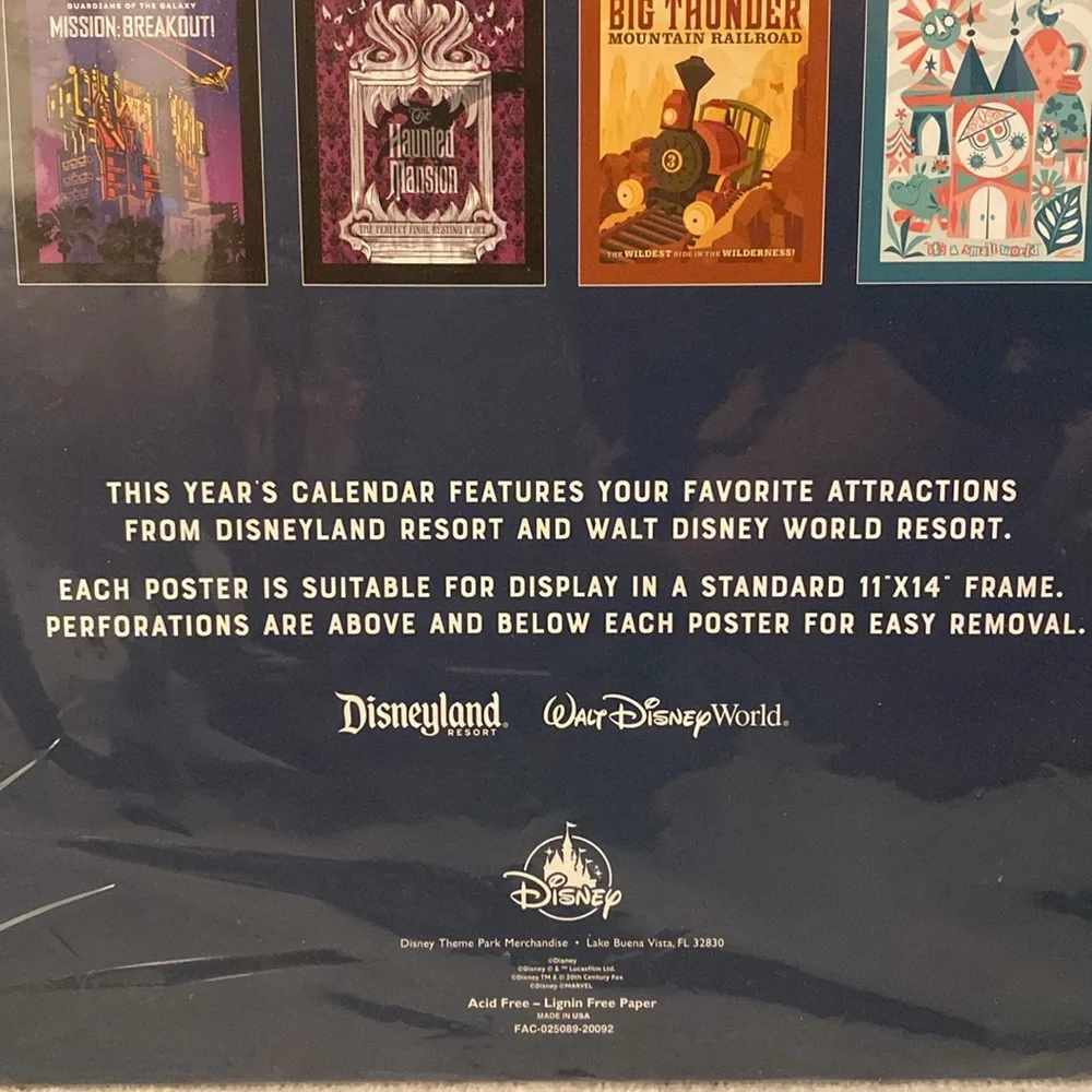 Disney Parks Poster Calendar 2021